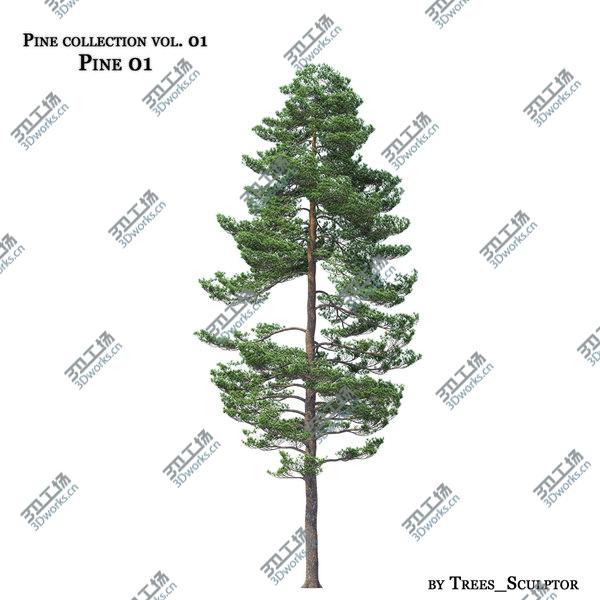 images/goods_img/20210312/Pine Collection Vol. 01/3.jpg